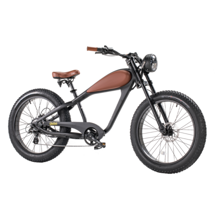  Revi Bikes Cheetah 48V 750W Hub Motor Fat Tire Electric Cruiser Bike image 0